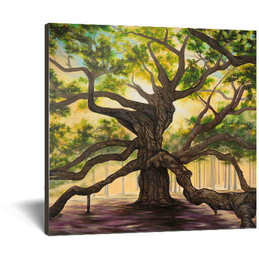 Archival print on canvas of a giant oak tree with sprawling branches under a green overstory. 