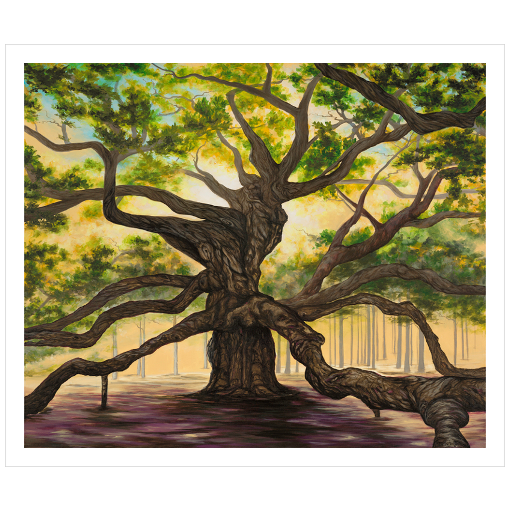 Archival print on matte paper of a giant oak tree with sprawling branches under a green overstory.