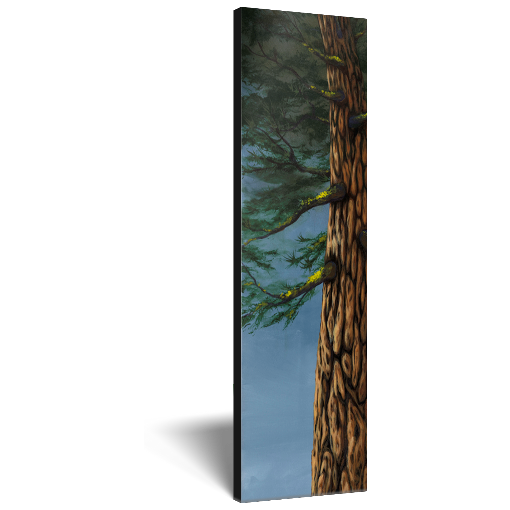 Archival print on canvas of a towering evergreen tree beneath a blue sky. 