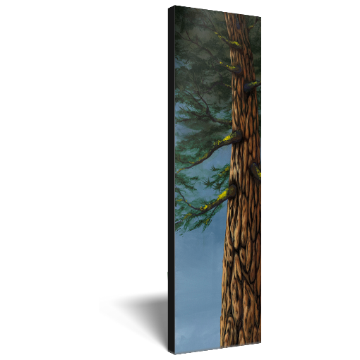 Archival print on canvas of a towering evergreen tree beneath a blue sky. 