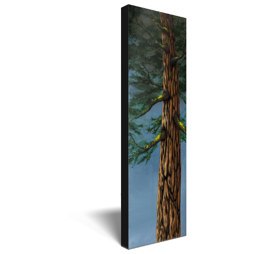 Archival print on canvas of a towering evergreen tree beneath a blue sky. 
